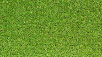 Wall Mural - green grass background
