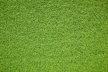 Canvas Print - top view green grass texture for background