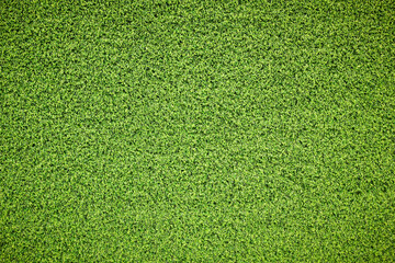 Canvas Print - top view green grass texture for background