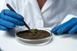 © SHOTPRIME STUDIO - female laboratory assistant biologist soil research biotechnology