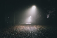 Illuminated Street Lights At Night In Fog
