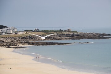 Sticker - seagulls on the beach in Quiberon 