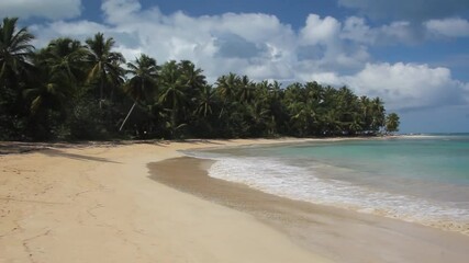 Wall Mural - Beach in Las Terrenas, Dominican Republic