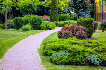 Wall Mural - pedestrian pavement of stone tiles in park with landscaping and green plants bushes with trees, landscaped of thujas and deciduous buhes on the lawn, nobody.