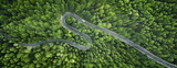 Fototapeta Kwiaty - Aerial view of a road in the middle of the forest