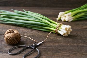 fresh green onion on a wooden table, scissors and rope. Selective focus, rustic style.