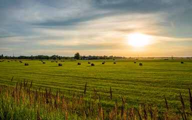 Wall Mural - A rural landscape at sunset. Hay rolls.