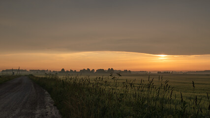 Wall Mural - Summer sunrise. The road and the meadow at sunrise. Morning mist.