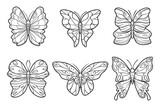 Fototapeta Motyle - Butterfly Outline With Drawn Details Collection_4