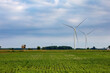 windmill  farm in Michigan