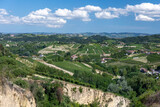 Fototapeta  - vineyards in Roero Piedmont Italy summer day