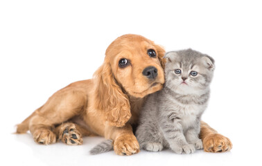 Aufkleber - English cocker spaniel puppy dog hugs kitten. isolated on white background