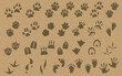 © Rodrigo - Collection of animal and human footprints.