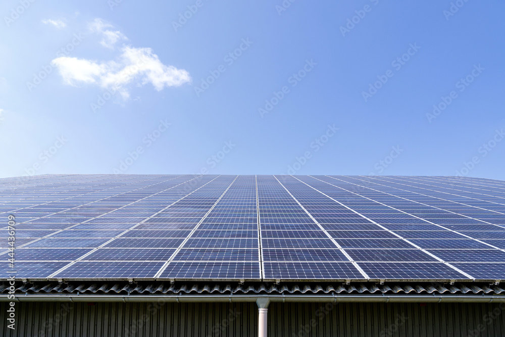 roof-mounted solar collectors on large roof - obrazy, fototapety, plakaty 
