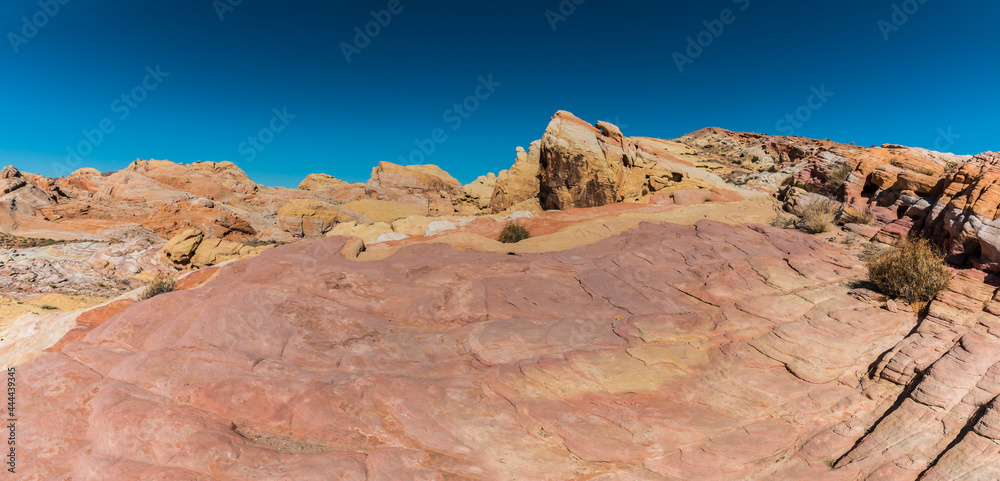 Multi Colored Sandstone Formations The Slick Rock, Valley of Fire State ...