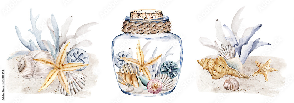 Shells in glass vase, watercolor set, beach scenery. Starfish, algae ...