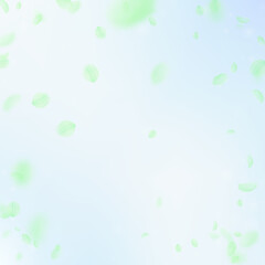 Green flower petals falling down. Alive romantic f