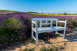 © Petr - Levandule, lavender, lavender farm