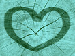 Zielone tło z sercem