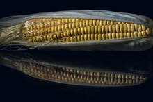 A Corn With Corn Tassels On A Black Glass Table, Close Up, Still Life Photography, Isolated