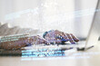 © Pixels Hunter - Creative concept of code skull illustration and hands typing on laptop on background. Hacking and phishing concept. Multiexposure