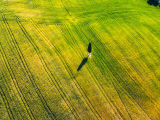 Wall Mural - Pienza, Italy May 20 2021- aerial view of the Orcia valley in spring with drone