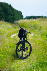 Wall Mural - bike stands on the road in the field. A mountain bike stands on a field path with green grass. Mountain bike, blooming summer field, meadow flowers, sunny day. ride a bike. outdoor activities