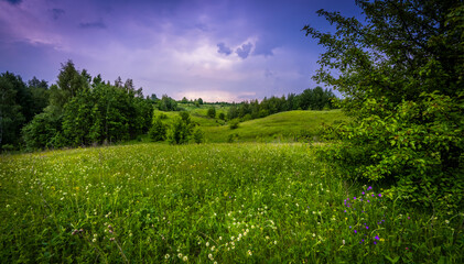 Wall Mural - a summer landscape with wildflowers blooming on the slope of a ravine and a stormy sky