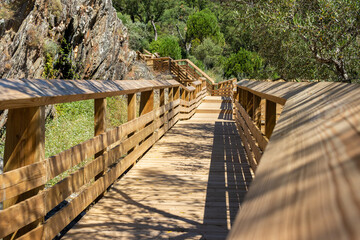 Poster - Wooden boardwalk leading to the forest