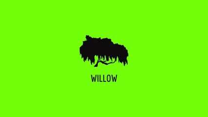 Poster - willow tree icon animation