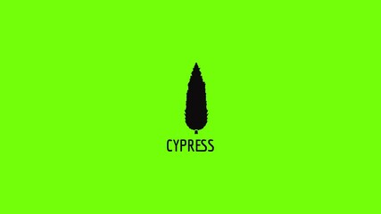 Poster - Cypress tree icon animation