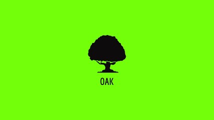 Poster - oak tree icon animation