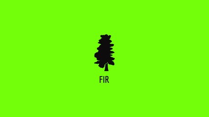 Poster - fir tree icon animation