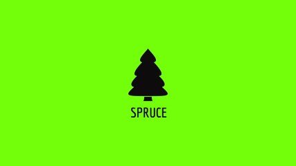 Poster - spruce tree icon animation