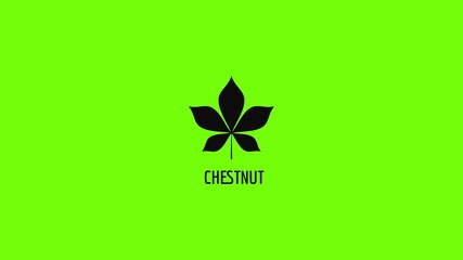Poster - Chestnut leaf icon animation