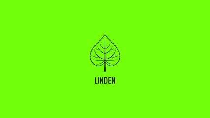 Poster - Linden leaf icon animation