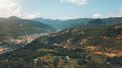 Wall Mural - Green trees on mountains. Sunny village in summers. Countryside with natural light. Rusty hills with green spruce trees. Cinematic blue sky with white clouds. Hiking in Carpathians, Europe