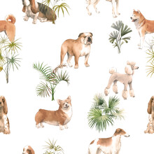 Beautiful Vector Seamless Pattern With Cute Watercolor Hand Drawn Dog Breeds Cocker Spaniel Greyhound Basset Hound Poodle Bulldog And Welsh Corgi Pembroke . Stock Illustration.