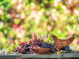 Wall Mural - Bunches of grapes on old wooden table and blurred colorful autumn background. Variety of ripe colorful grapes as the symbol of autumn cornucopia or abundance.