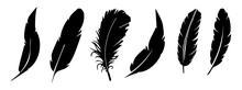 Feather Vector Collection