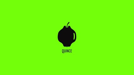 Poster - Quince icon animation