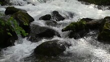 Slow Motion Of Wild Clear Mountain River , Stream Flowing Through Rocks. Close Up Of River Stones With Flowing Water, Clean Water Flowing In A Mountain River