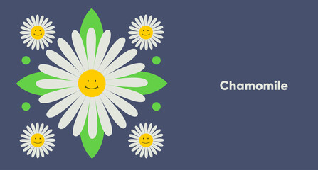 Chamomile. Flower. Simple vector illustration. Funny plant. Background image for banner, greeting card, invitation, decoration.