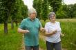 © Studio Romantic - Sport is an important part of their lives. Happy active elderly couple on a summer day jogging outdoors in a park or forest. Woman and man perform exercises for a healthy life. Elderly health concept