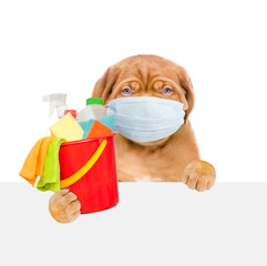 Poster - Puppy  wearing medical protective face mask and red hat  looks from behind empty white banner and holds bucket with  washing fluids and rags in paws. isolated on white background