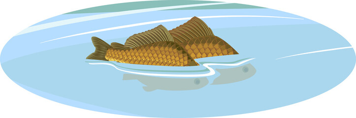 Wall Mural - Back fins of crucian carp fishes sticking out of water during spawning