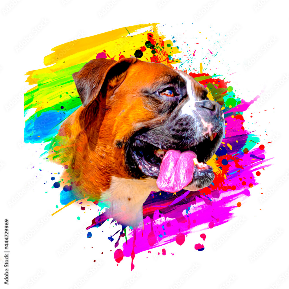 boxer dog head with creative colorful abstract elements on background - obrazy, fototapety, plakaty 