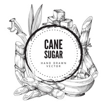 Cane Sugar Decorative Background Or Frame Engraving Vector Illustration Isolated.