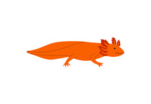 Cartoon Minimalist Style Lizard With Big Tail Flat Vector Illustration Isolated.