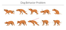 Dog Behavior Problem Set, Aggressive, Fear, Stubborn